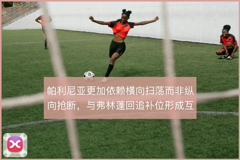 帕利尼亚更加依赖横向扫荡而非纵向抢断，与弗林蓬回追补位形成互补