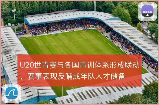 U20世青赛与各国青训体系形成联动,赛事表现反哺成年队人才储备